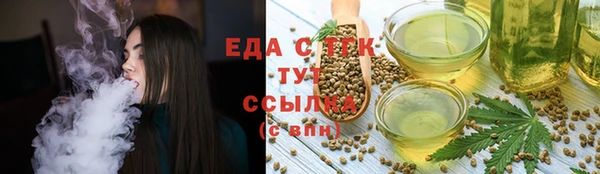 PSILOCYBIN Алзамай