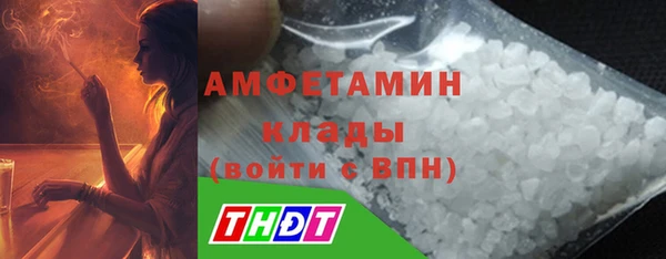 прущие грибы Вуктыл