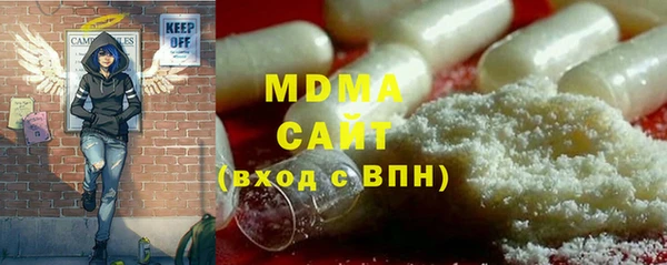 PSILOCYBIN Алзамай