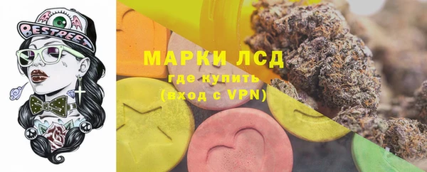 PSILOCYBIN Алзамай